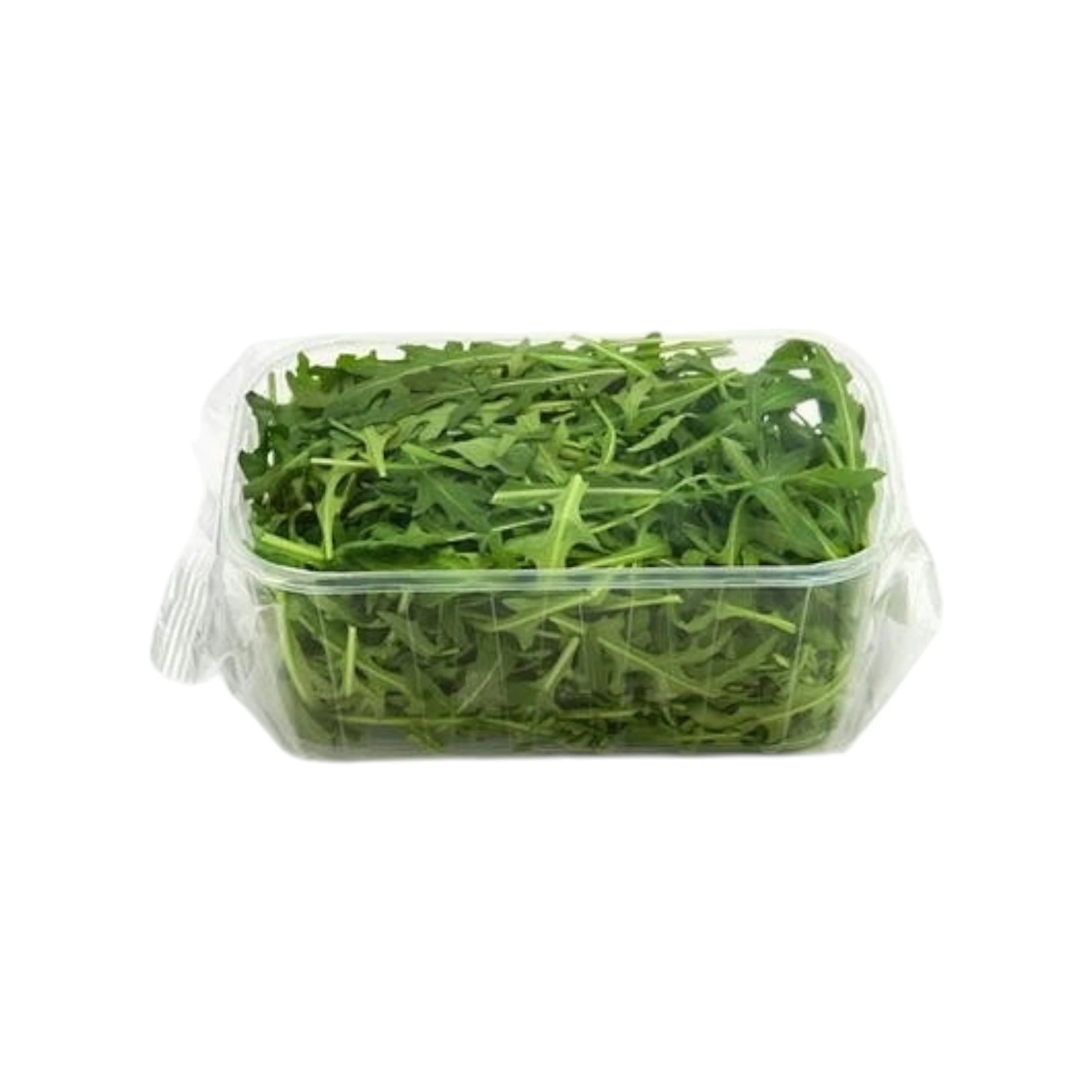 Rukola e Freskët - pako