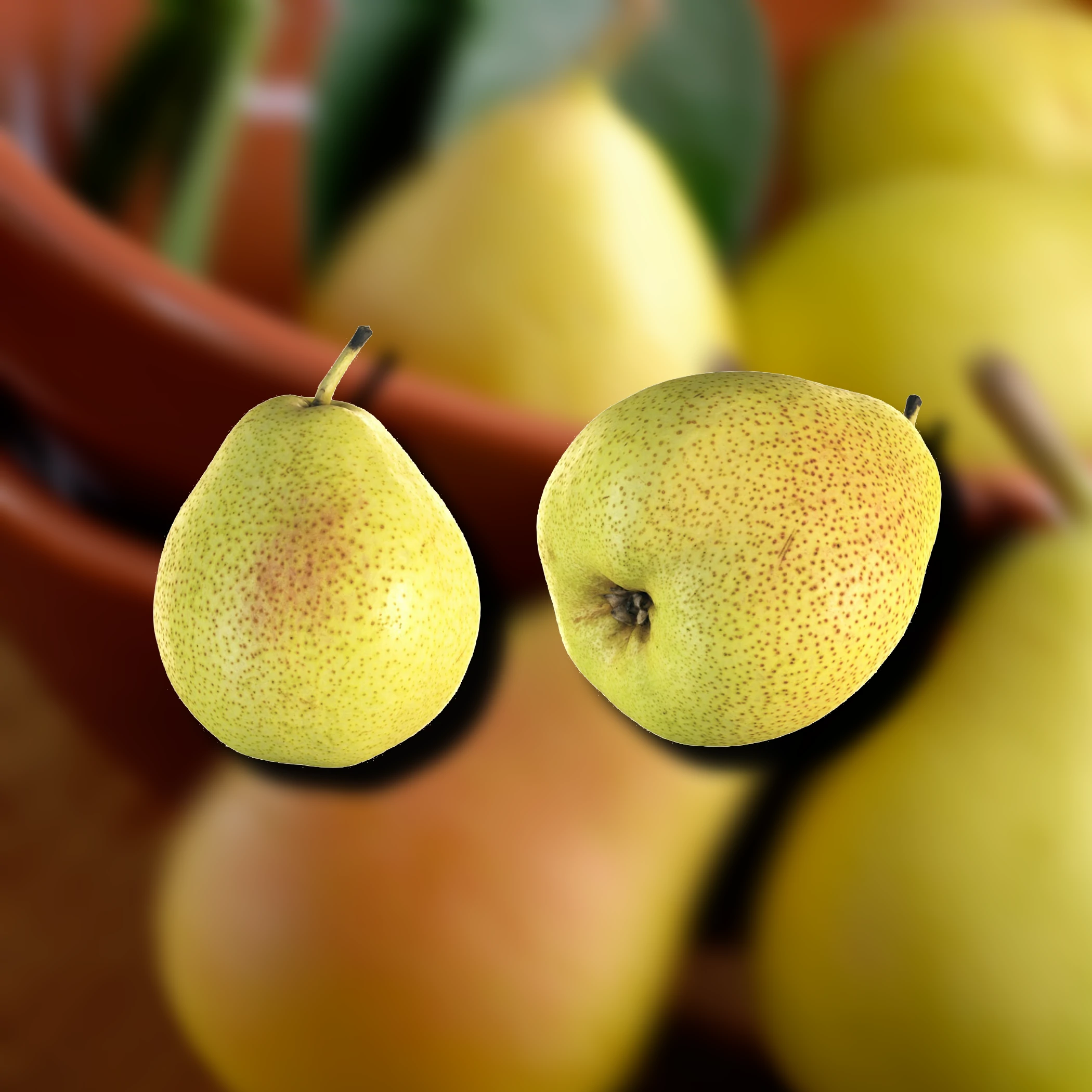 Dardhë kg - *Variety mix