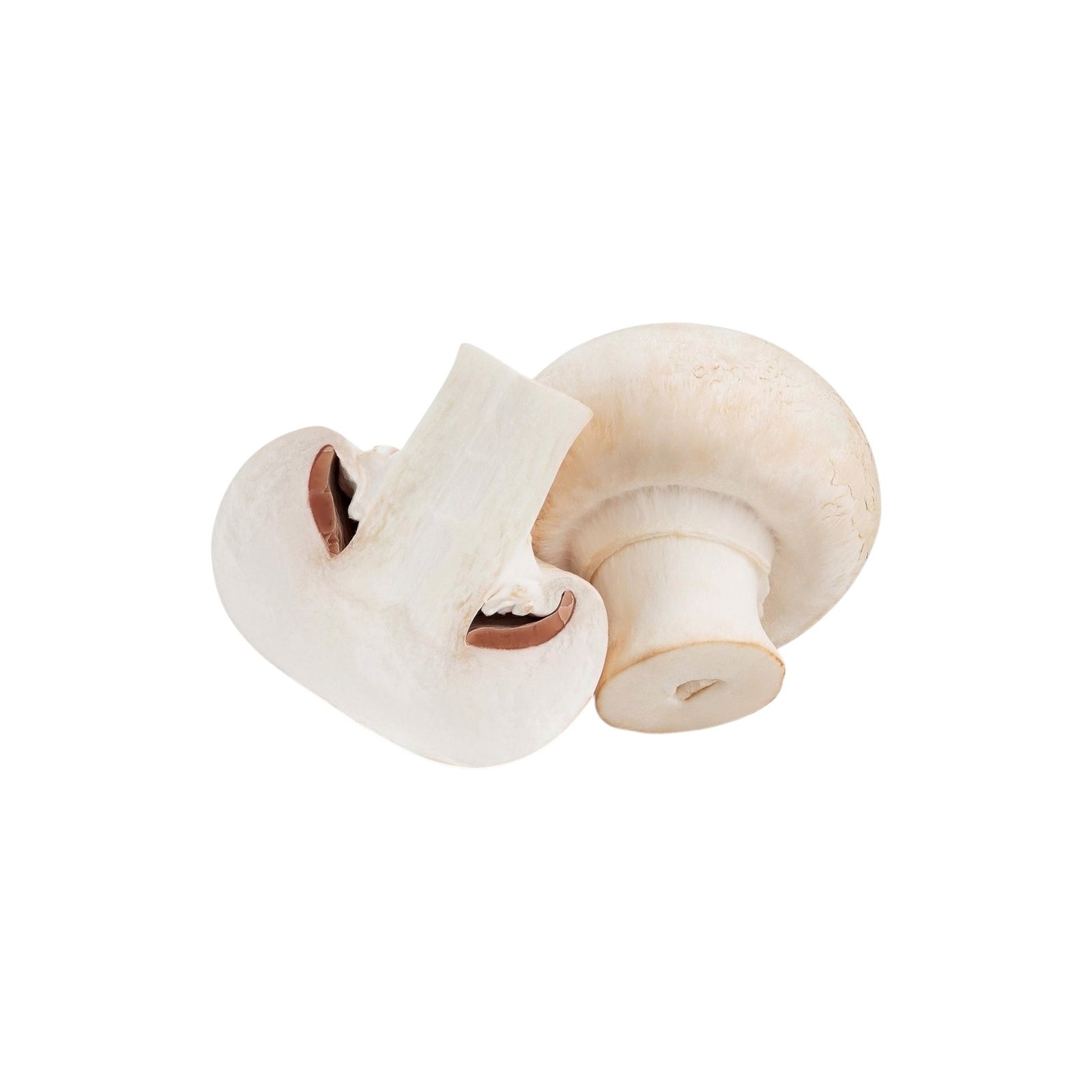 Këpurdha të freskëta - Champignon- Pako